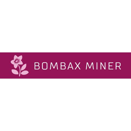 BOMBAX MINER@122asic miner