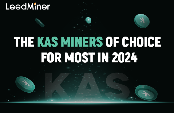 The Kaspa miners of choice for most in 2024