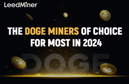 The DOGE miners of choice for most in 2024