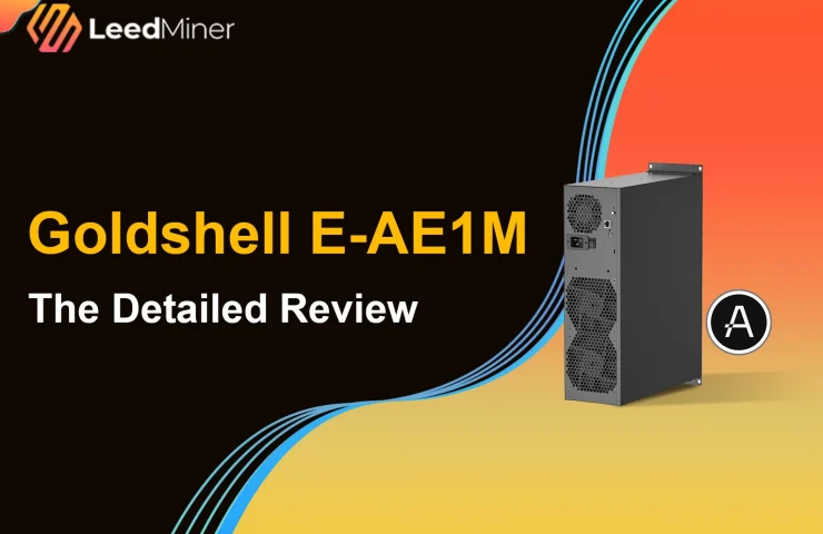 Goldshell E-AE1M The Detailed Review