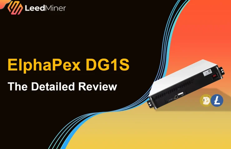 ElphaPex DG1S The Detailed review