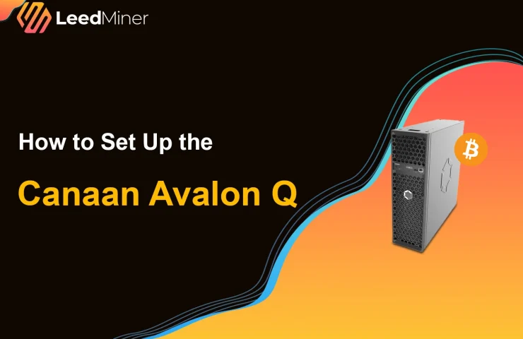 How to Set Up the Canaan Avalon Q